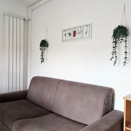 Flora *
